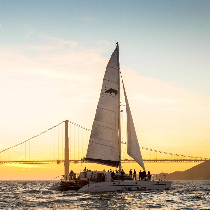 Boat in front of bridge