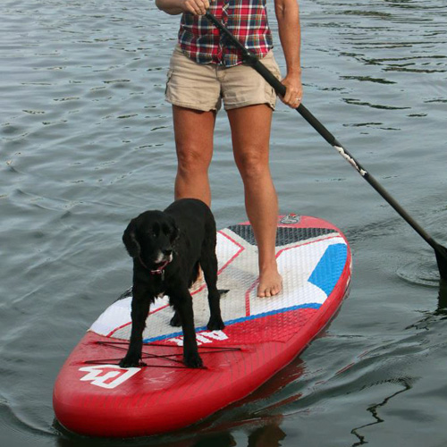 Tampa Stand Up Paddle Boarding 