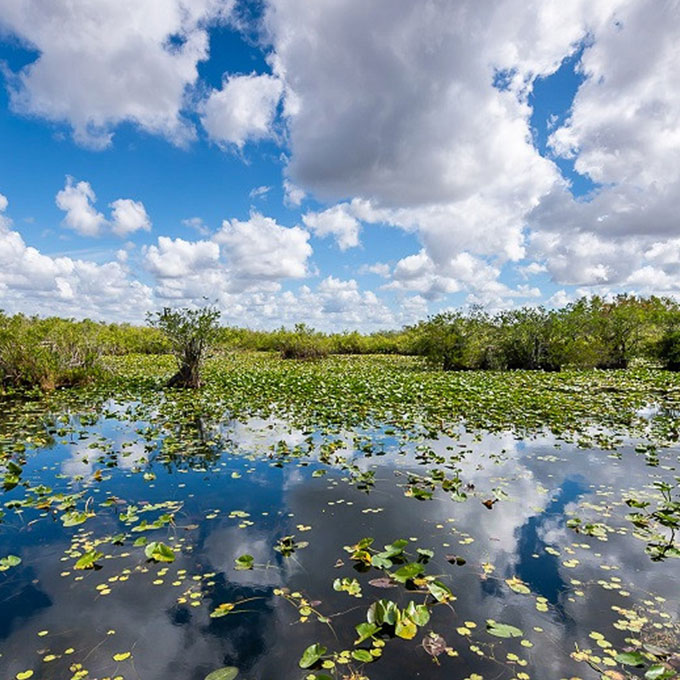 Everglades boat tour