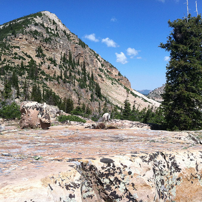 Hiking Adventure in Utah