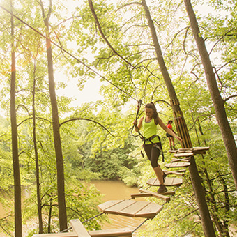 Treetop Adventure in Blue Jay Point County Park