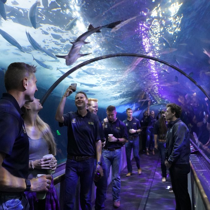 Group viewing shark in tank