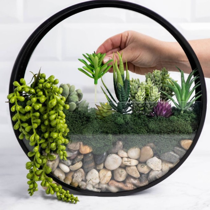 Wall Terrarium Kit