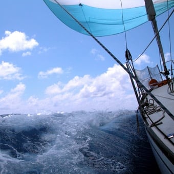 Amelia Island Sailing Charter in Jacksonville