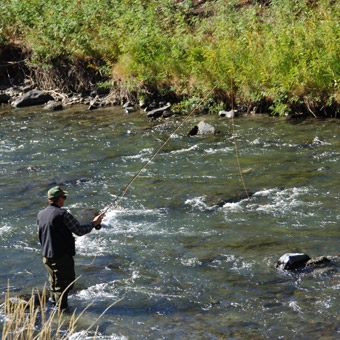 On-Stream Fly Fishing Class in Philadelphia