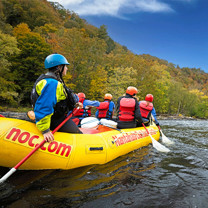 Group in the raft