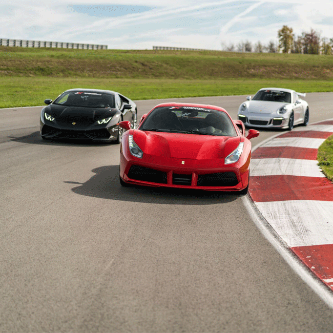 Ultimate Exotic Racing Experience near Tampa