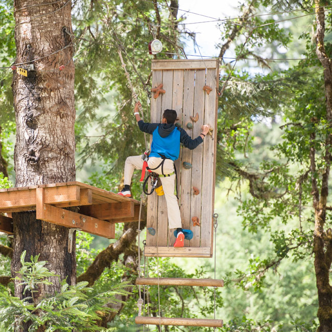 Portland Canopy Adventure Tour